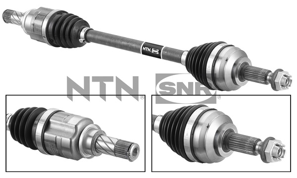 SNR DK55.235 Albero...