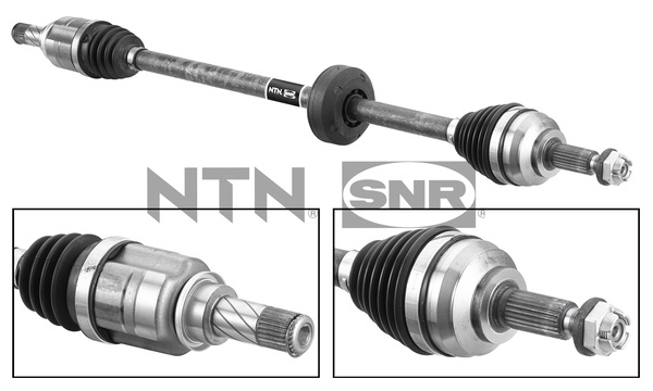 SNR DK55.236 Albero...