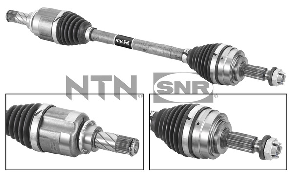SNR DK55.239 Albero...