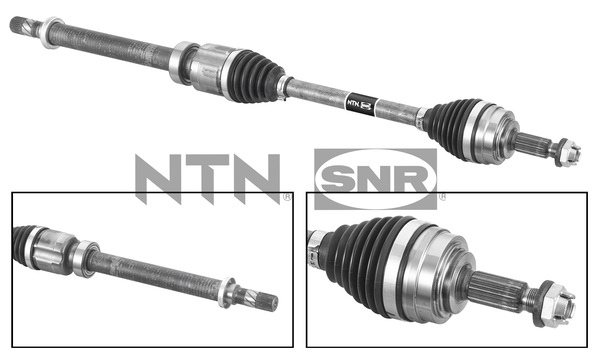 SNR DK55.240 Albero...