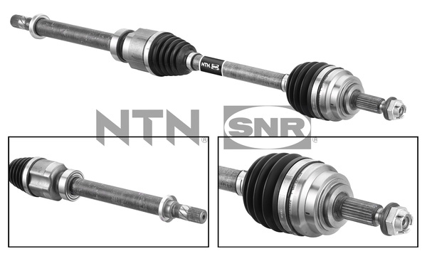 SNR DK55.241 Albero...