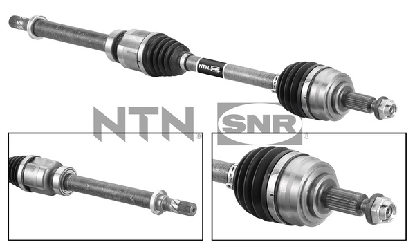 SNR DK55.242 Albero...
