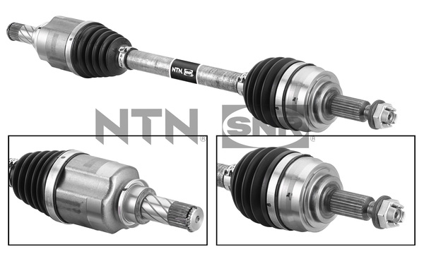 SNR DK55.243 Albero...