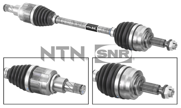 SNR DK55.245 Albero...