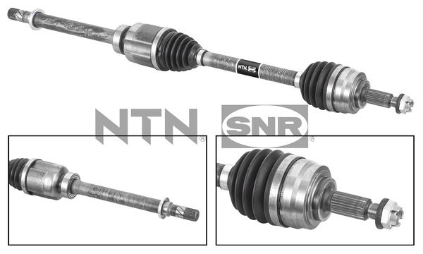 SNR DK55.247 Albero...