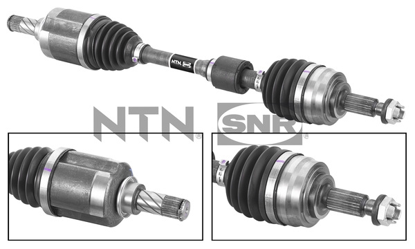 SNR DK55.248 Albero...