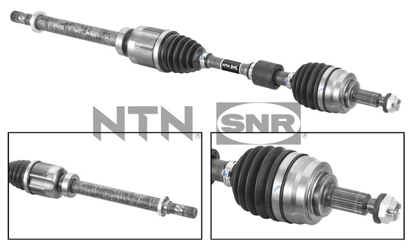 SNR DK55.249 Albero...