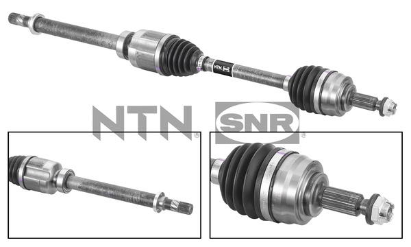 SNR DK55.251 Albero...
