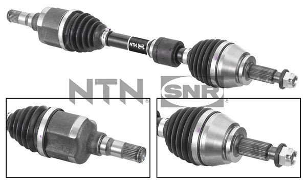 SNR DK55.252 Albero...