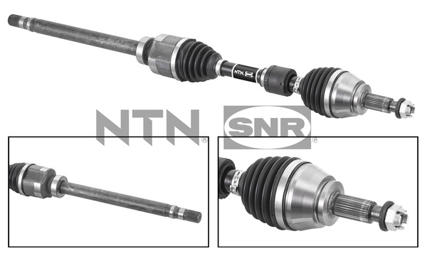 SNR DK55.253 Albero...