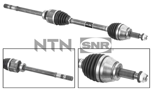 SNR DK55.254 Albero...