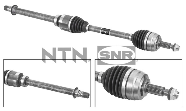 SNR DK55.255 Albero...