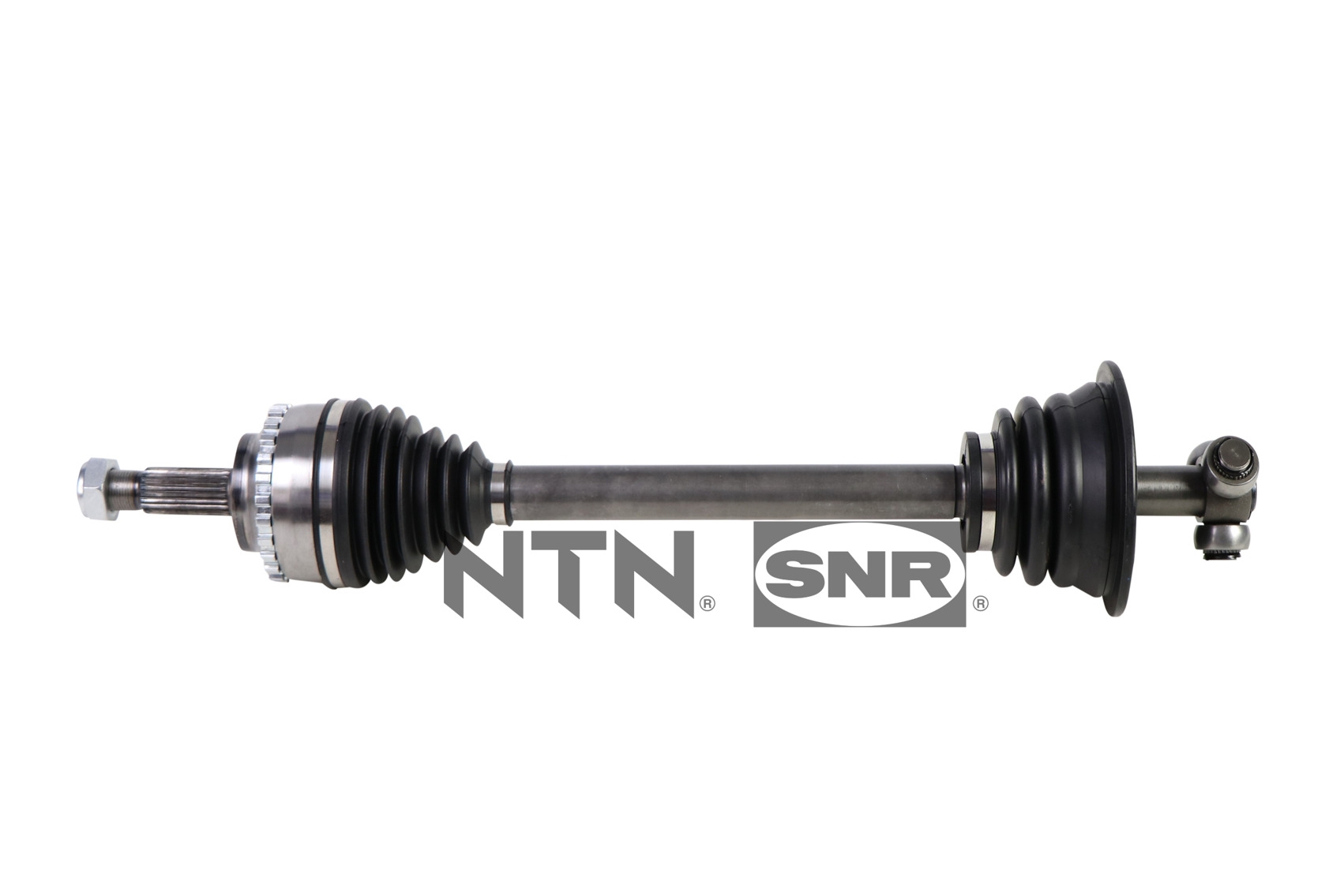 SNR DK55.257 Albero...