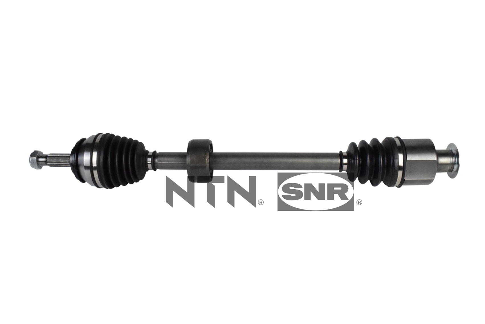 SNR DK55.258 Albero...