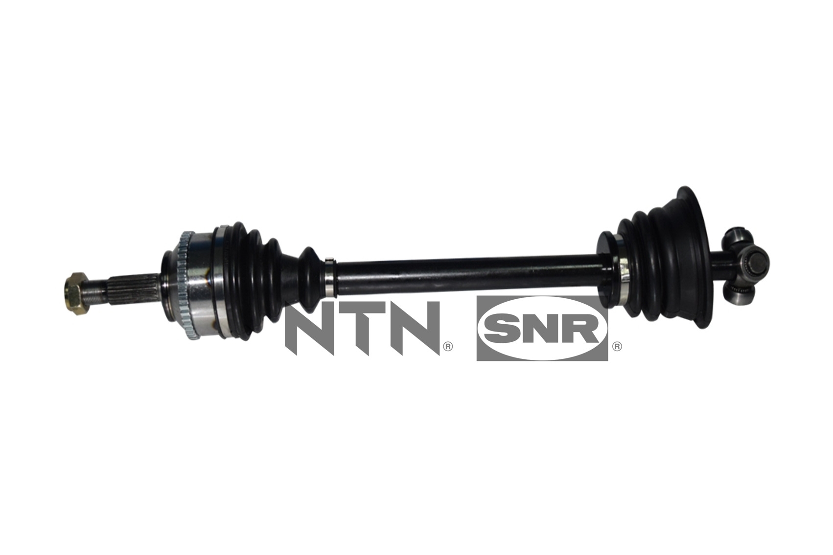 SNR DK55.259 Albero...