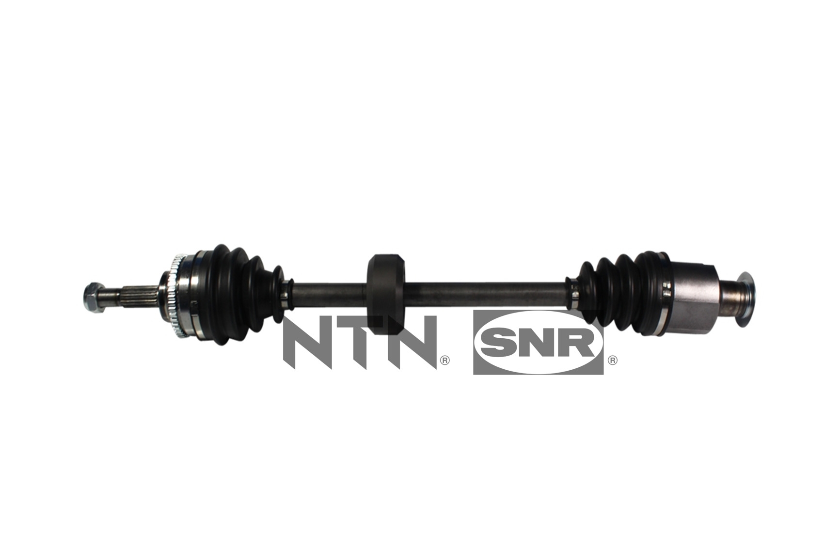 SNR DK55.261 Albero...