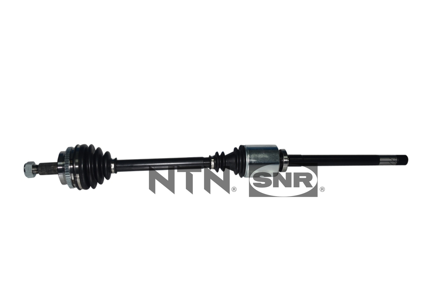 SNR DK55.262 Albero...