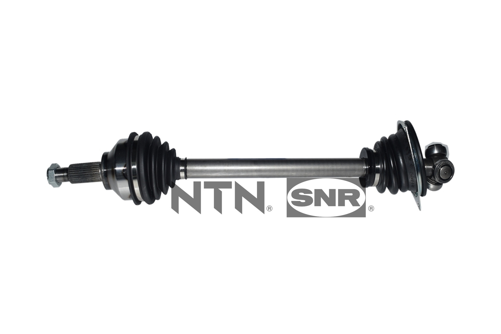 SNR DK55.263 Albero...