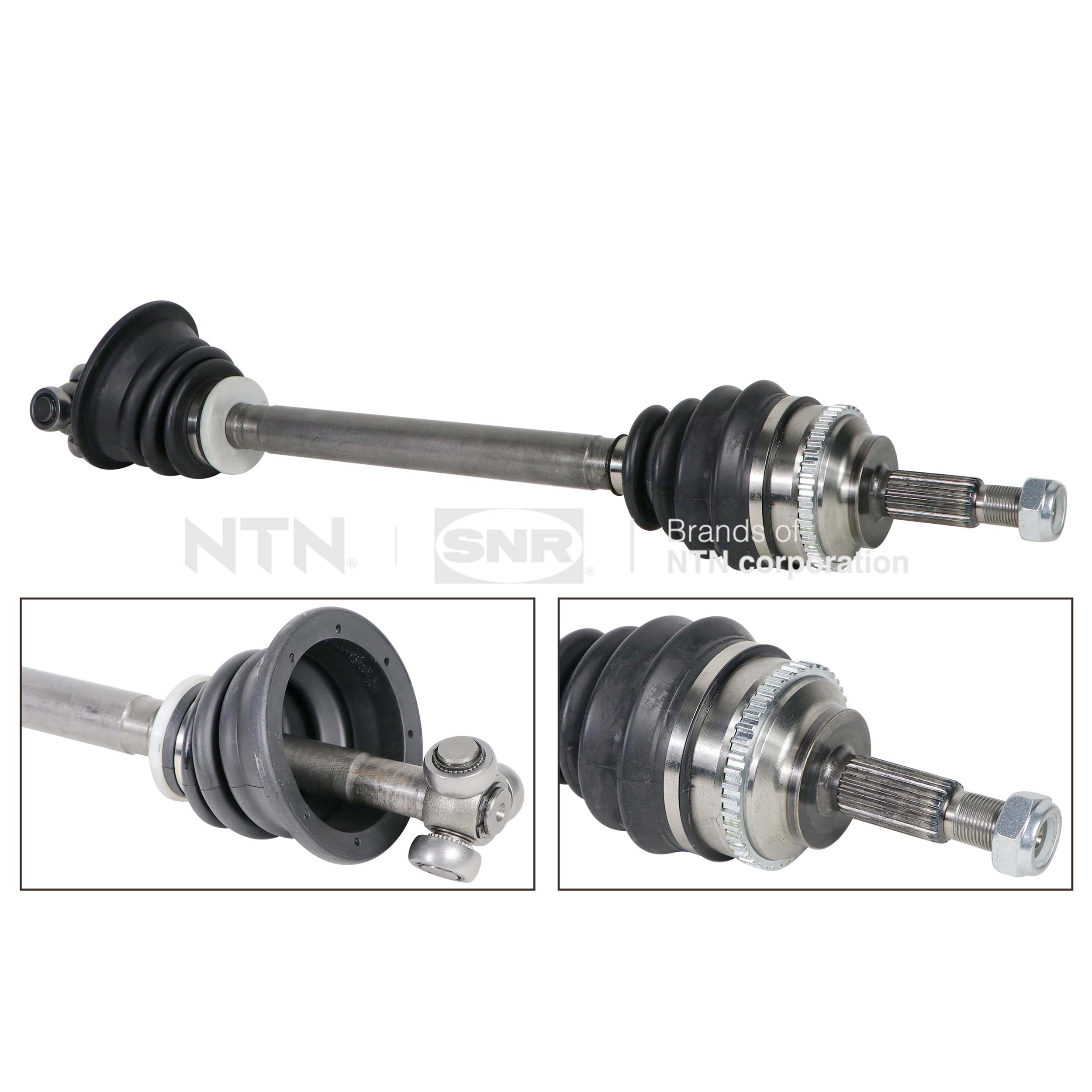 SNR DK55.295 Albero...