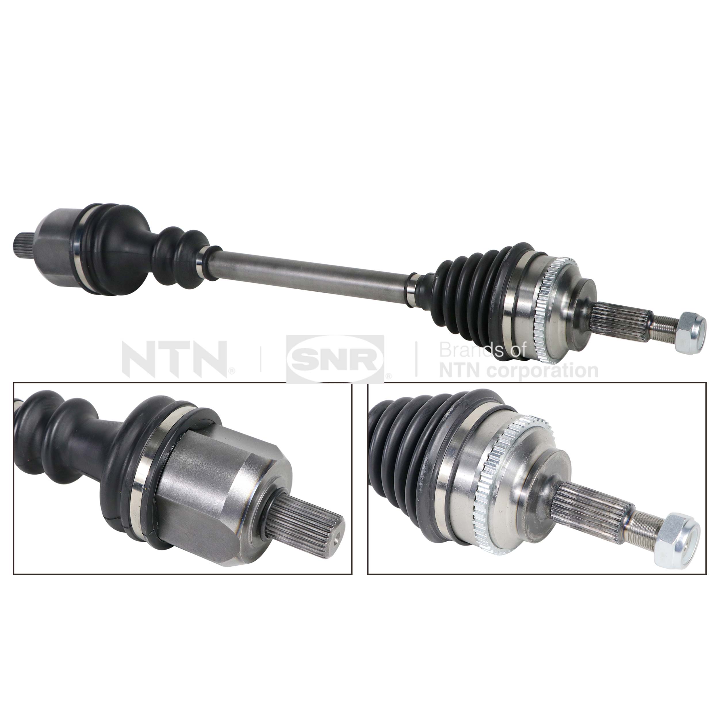 SNR DK55.296 Albero...