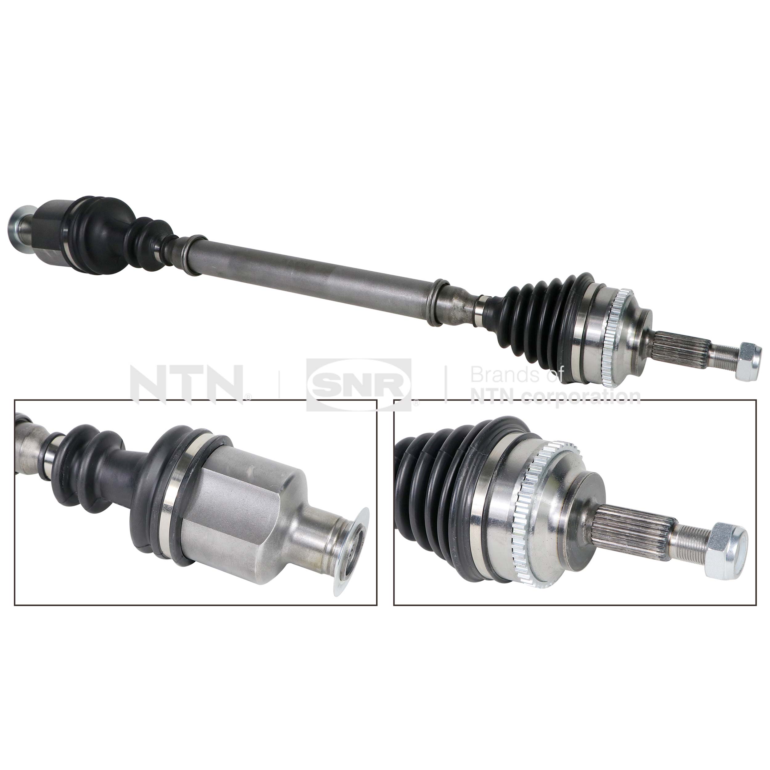SNR DK55.298 Albero...