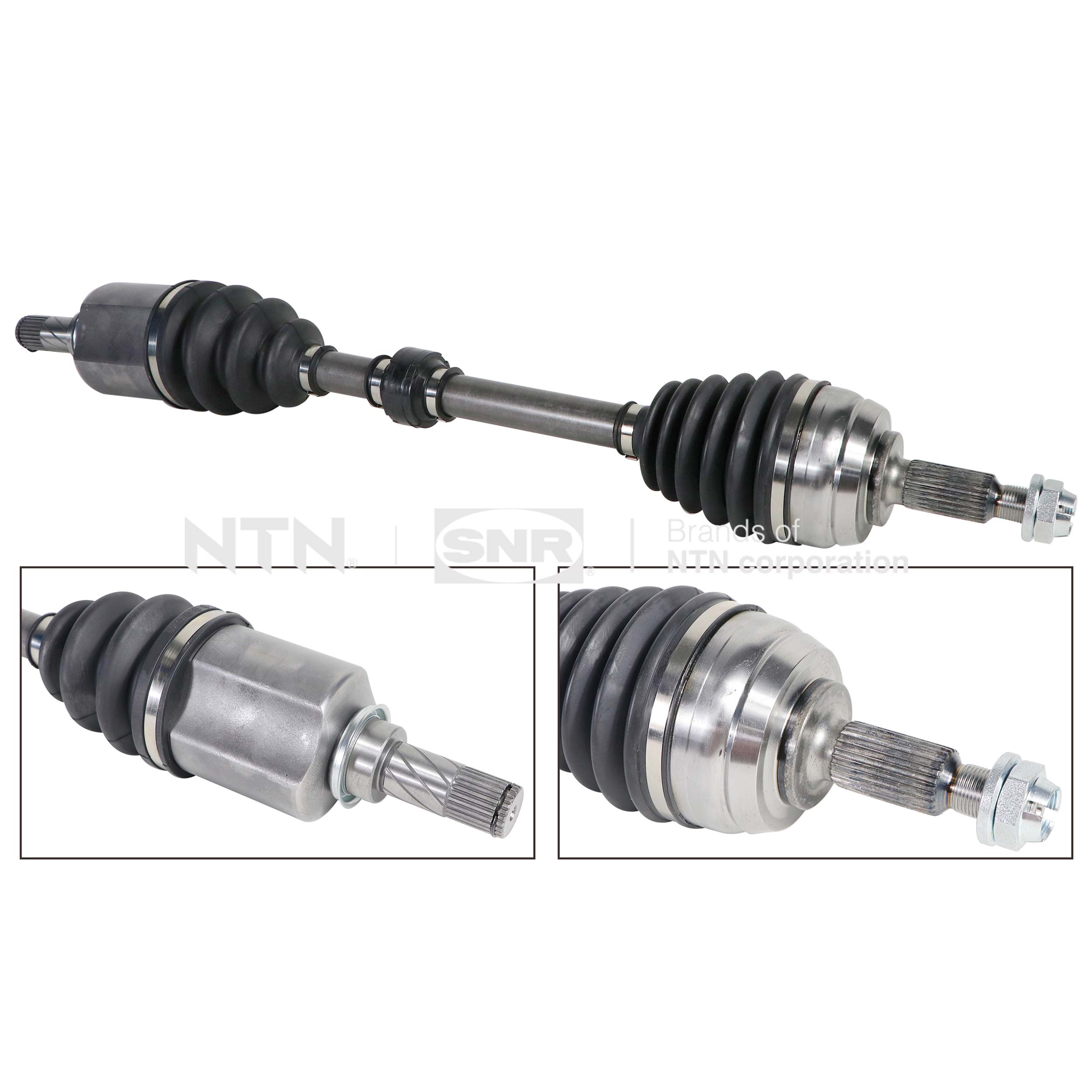 SNR DK55.299 Albero...
