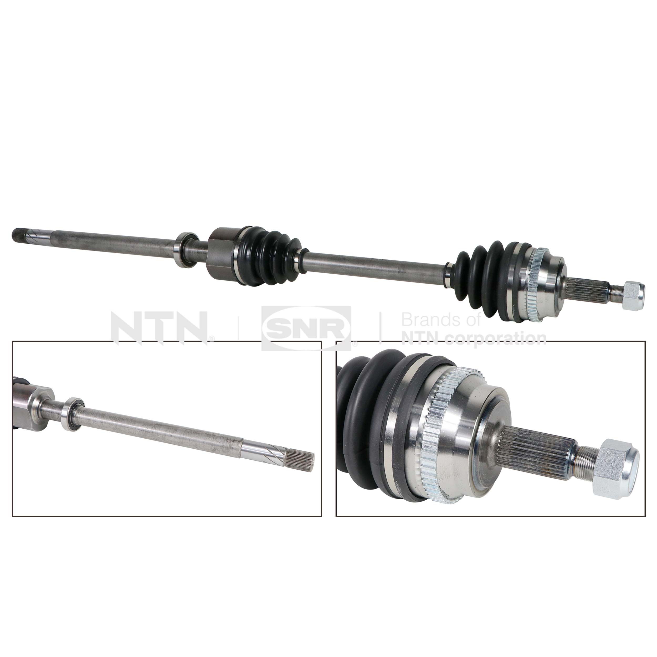 SNR DK55.301 Albero...