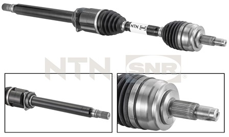 SNR DK58.002 Albero...