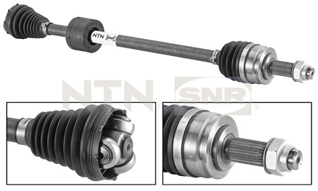SNR DK58.004 Albero...