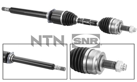 SNR DK58.006 Albero...