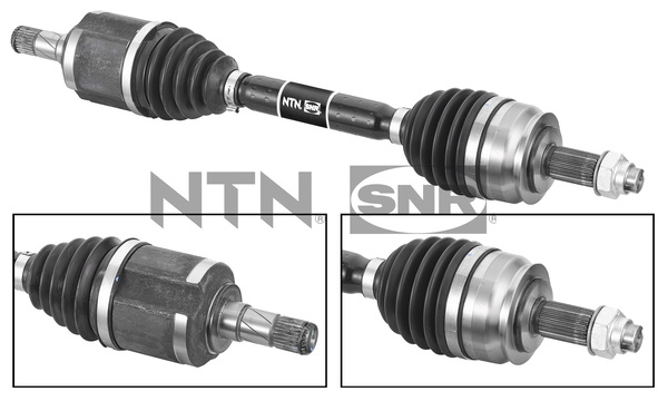 SNR DK58.007 Albero...