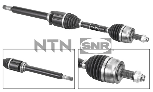 SNR DK58.008 Albero...