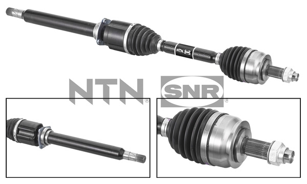 SNR DK58.010 Albero...