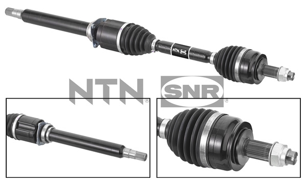 SNR DK58.013 Albero...