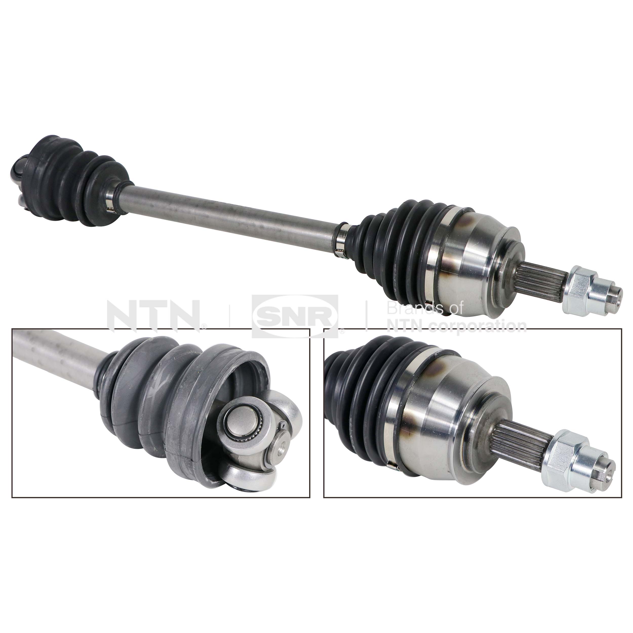 SNR DK58.021 Albero...