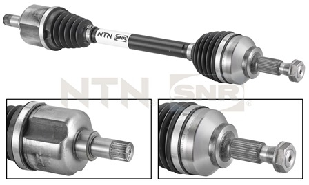 SNR DK59.001 Albero...