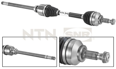 SNR DK59.002 Albero...