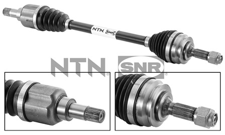 SNR DK59.005 Albero...