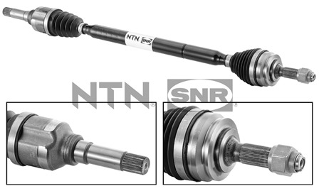 SNR DK59.006 Albero...