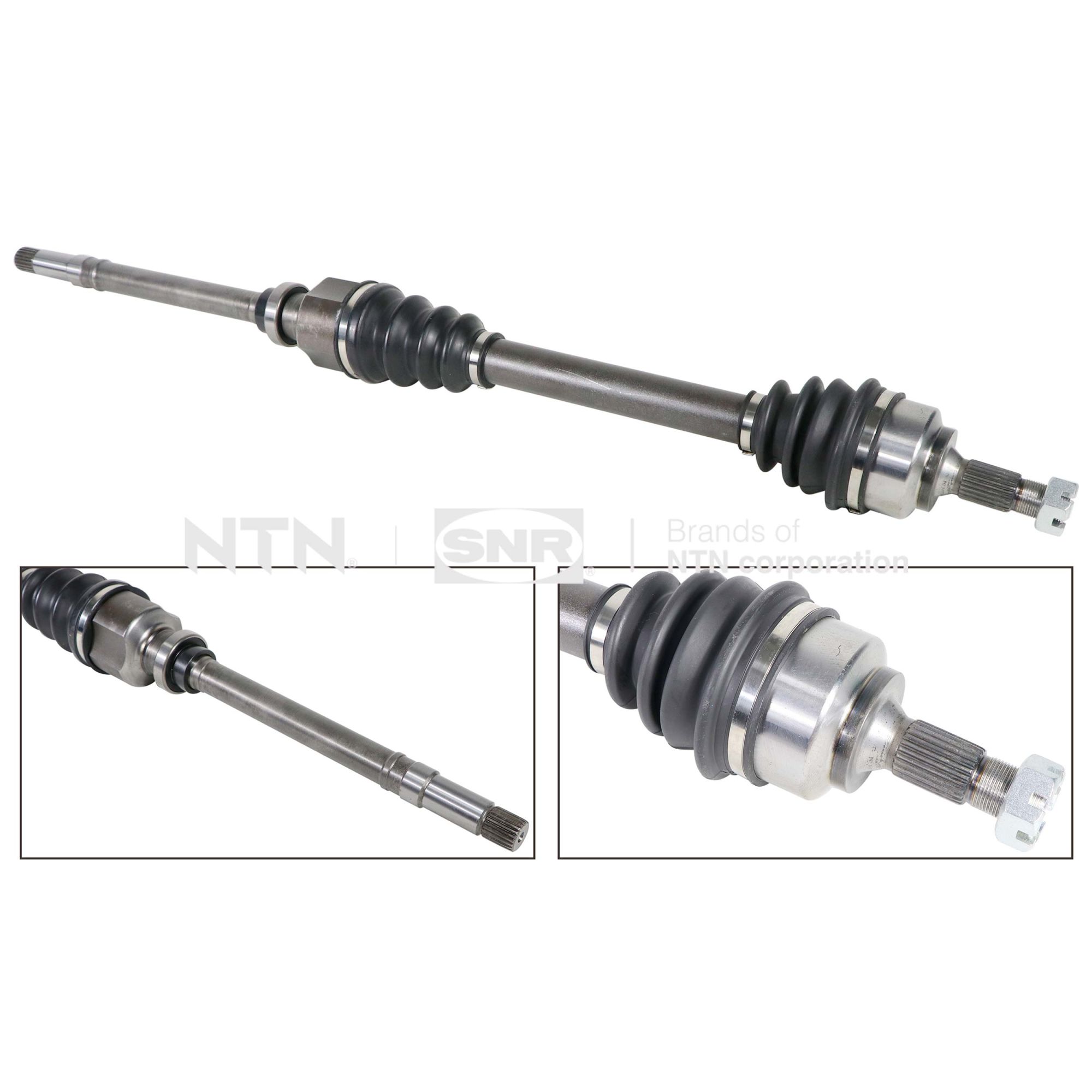 SNR DK59.007 Albero...