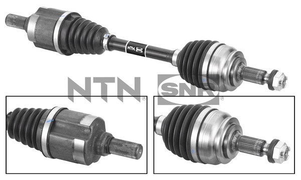 SNR DK59.009 Albero...