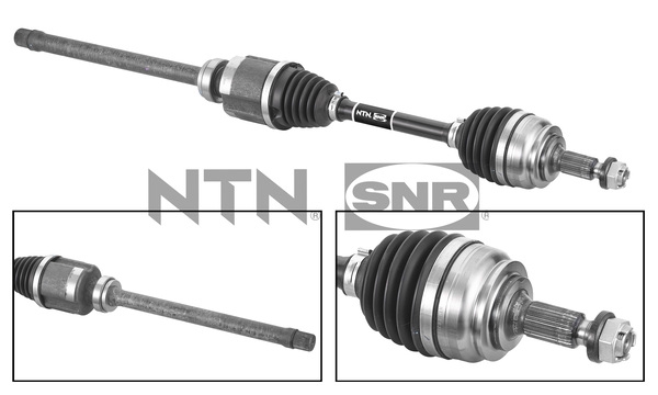 SNR DK59.010 Albero...