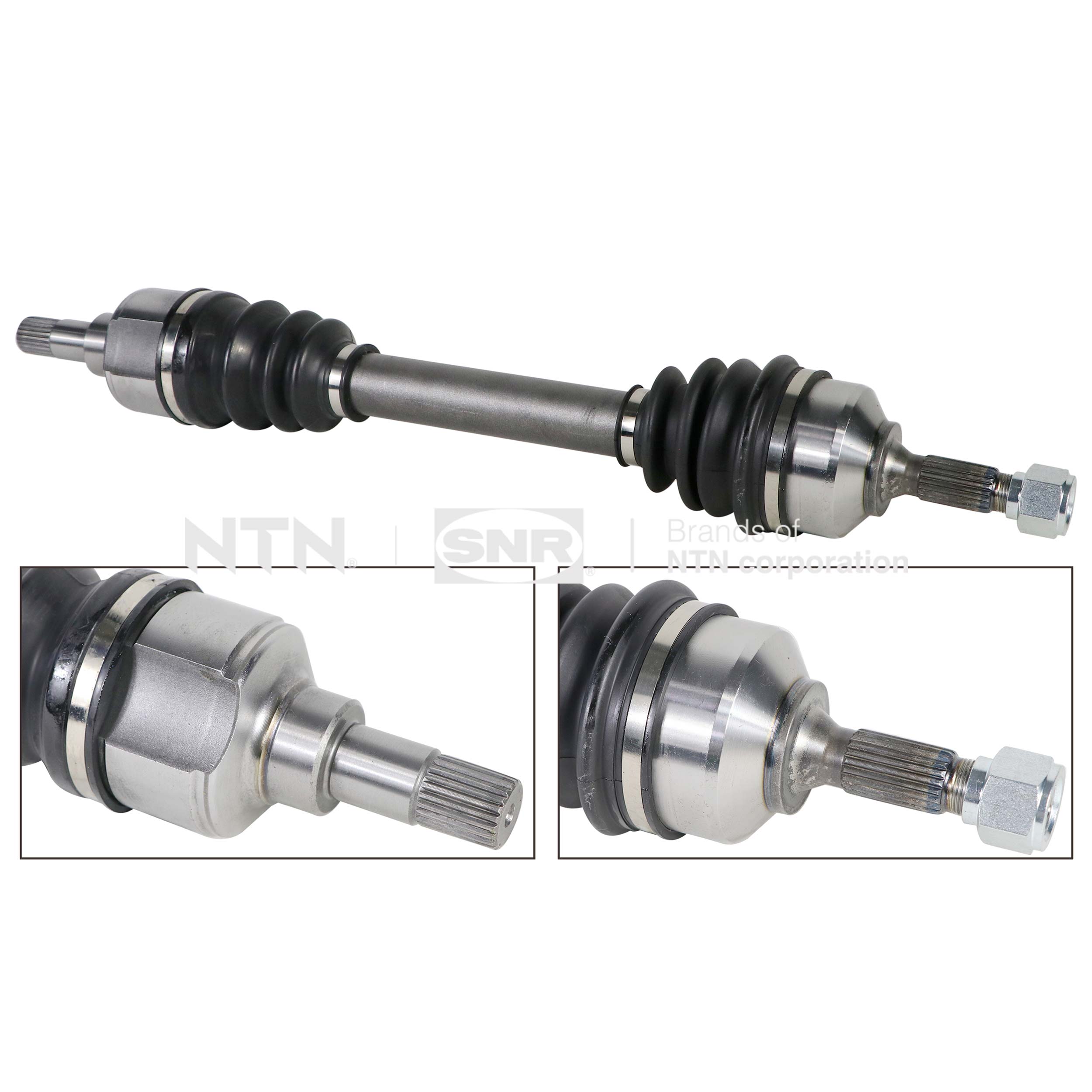 SNR DK59.012 Albero...