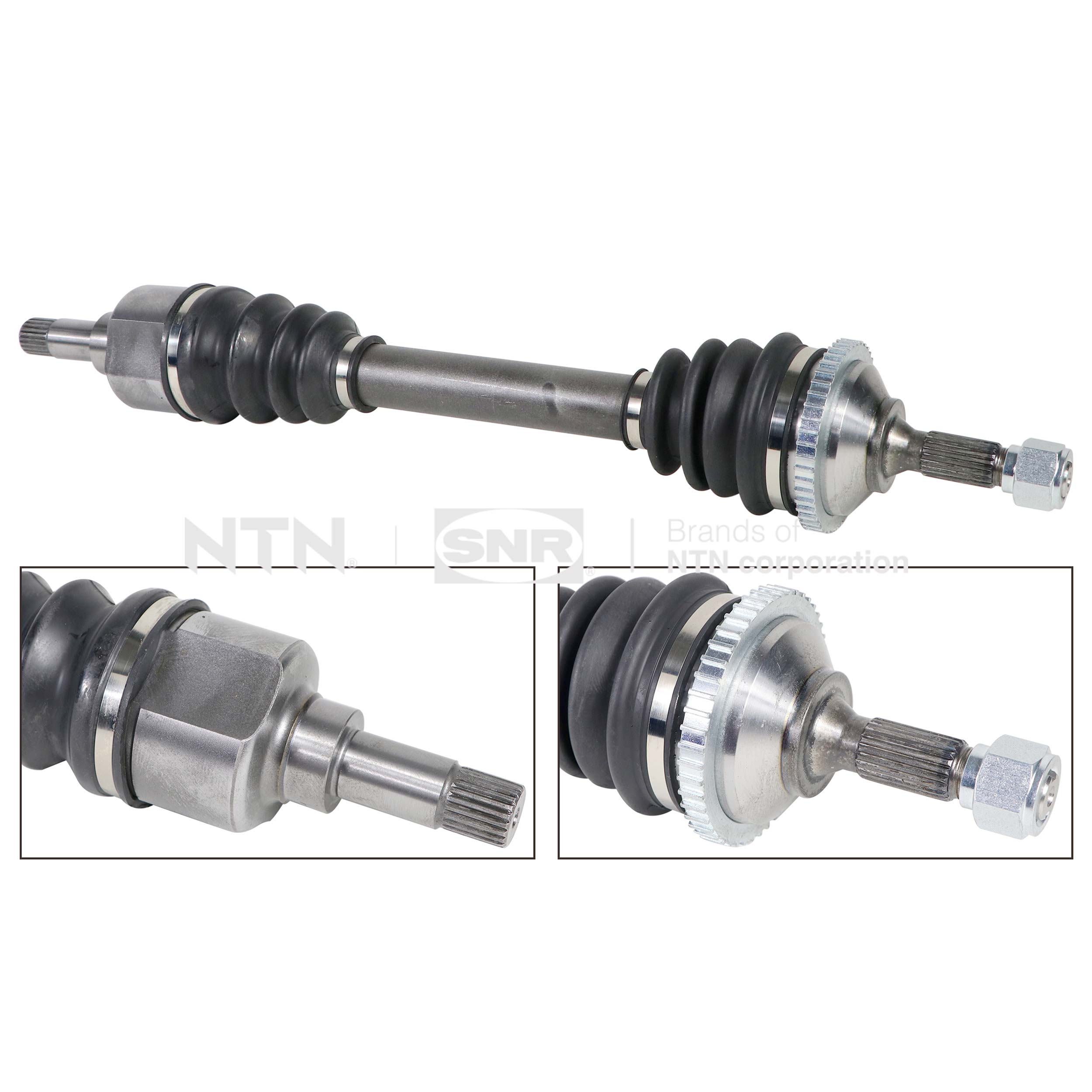 SNR DK59.013 Albero...