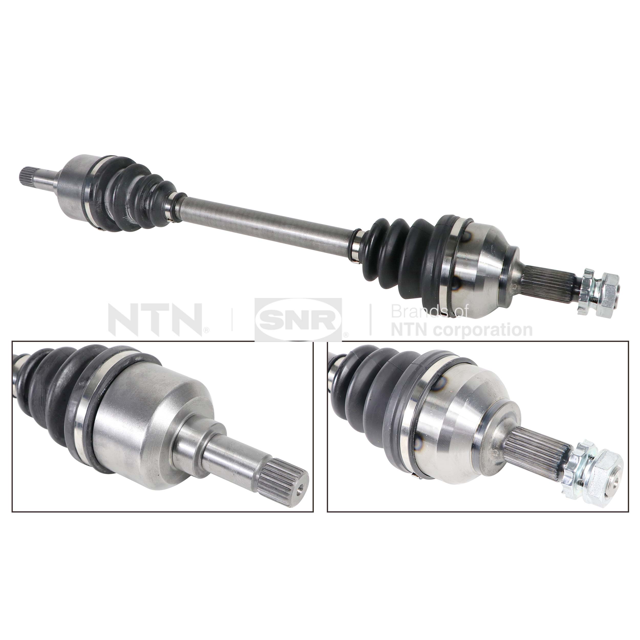 SNR DK59.015 Albero...