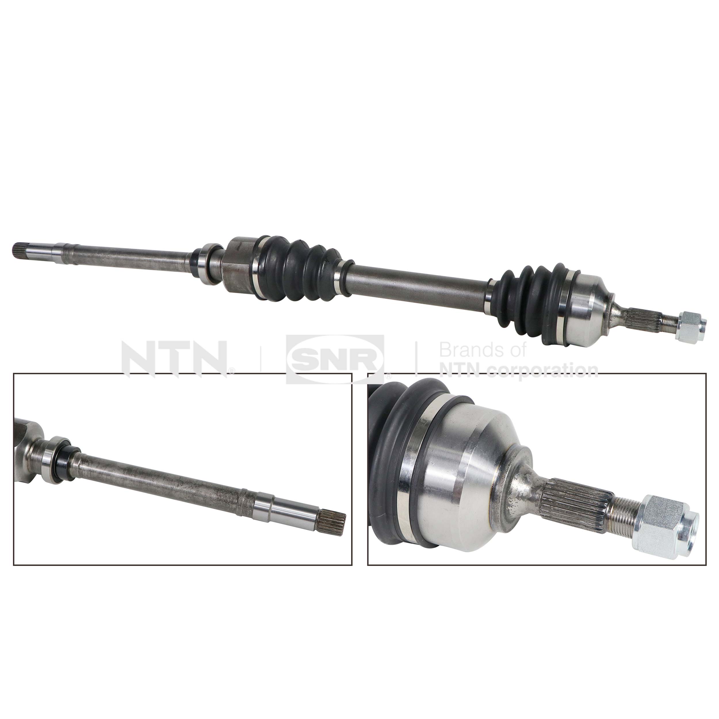 SNR DK59.017 Albero...