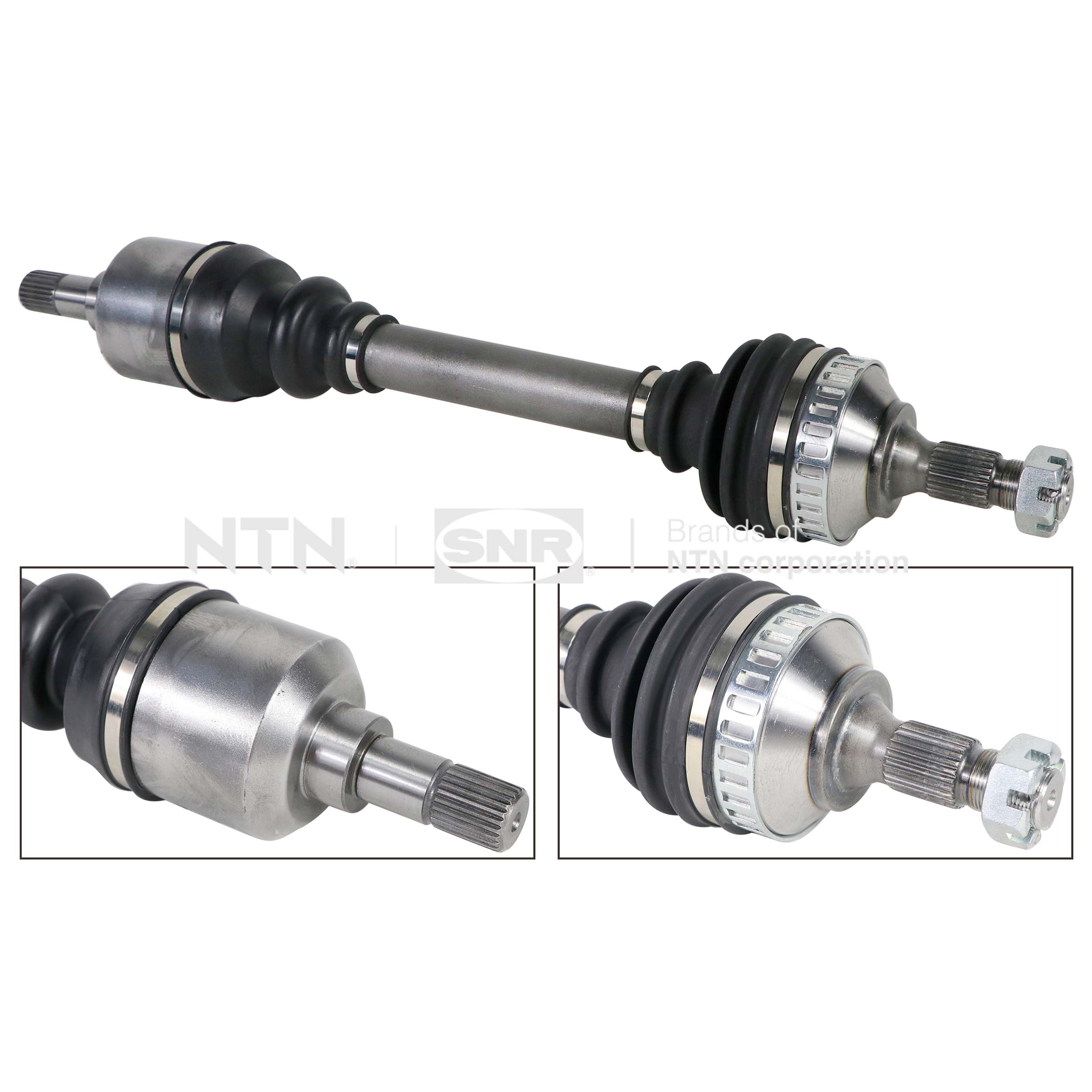 SNR DK59.019 Albero...