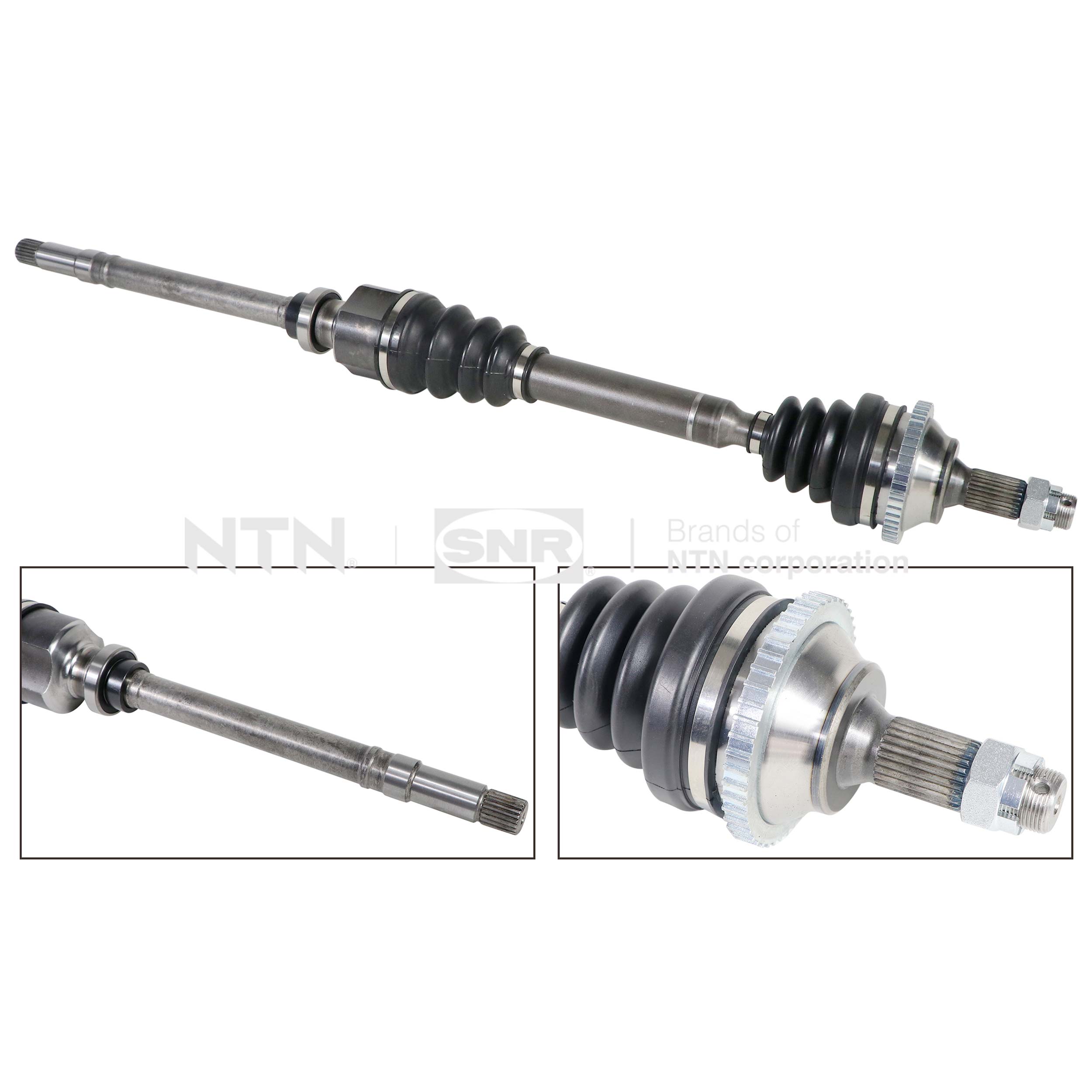 SNR DK59.020 Albero...