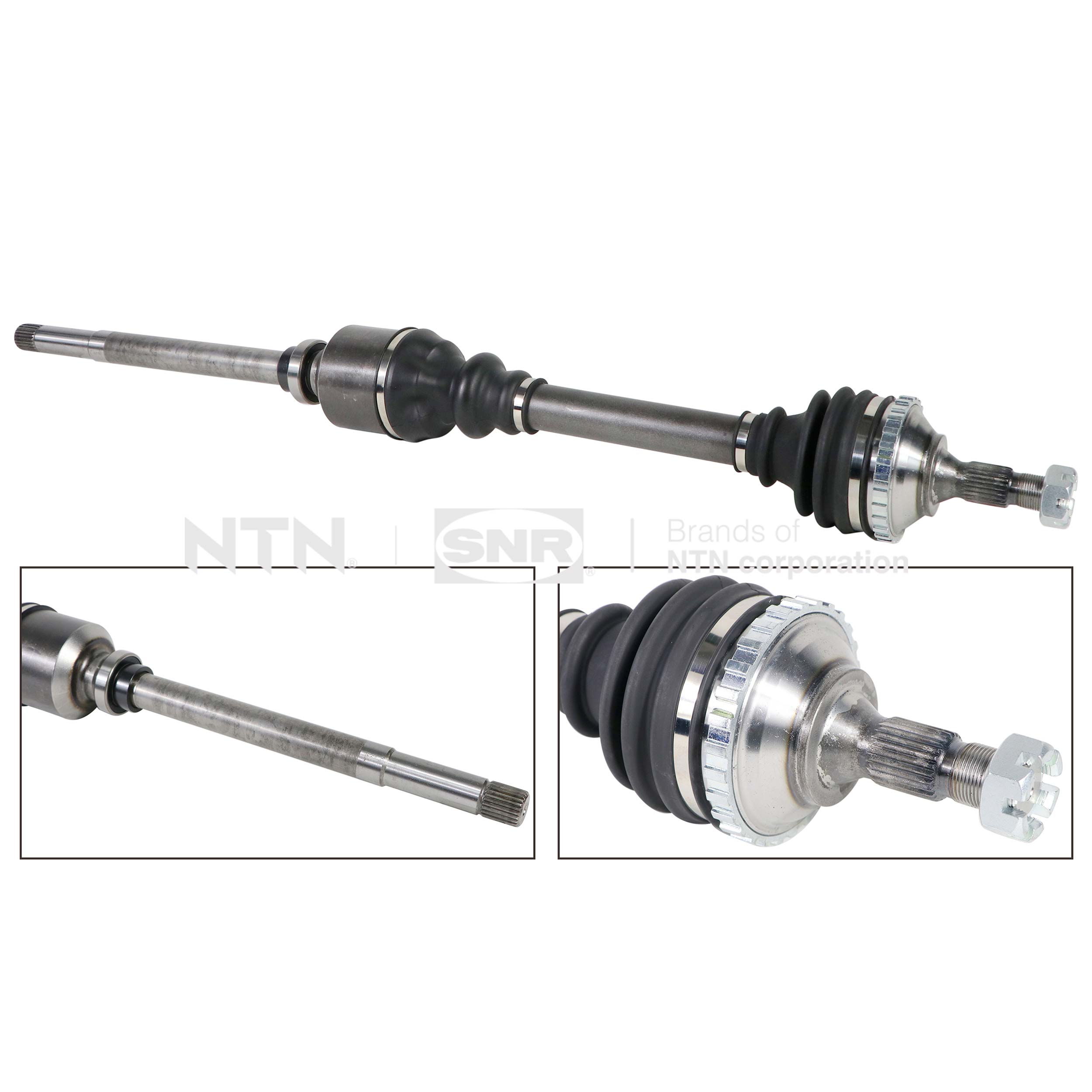 SNR DK59.021 Albero...