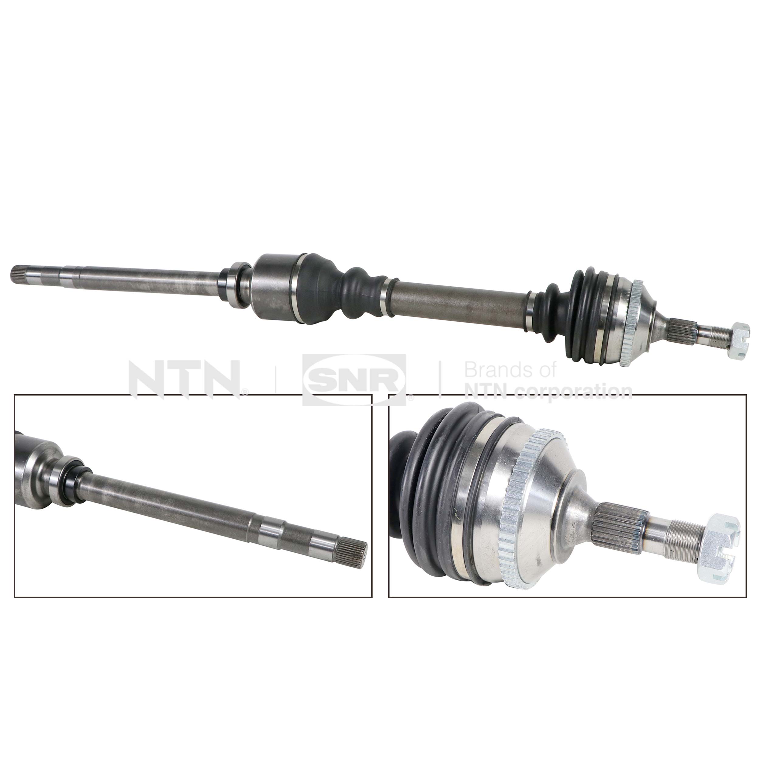 SNR DK59.022 Albero...